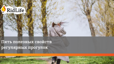 Photo of Польза регулярных прогулок